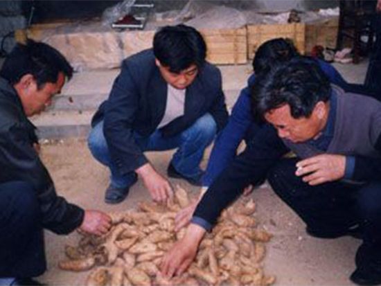 資質(zhì)榮譽(yù)