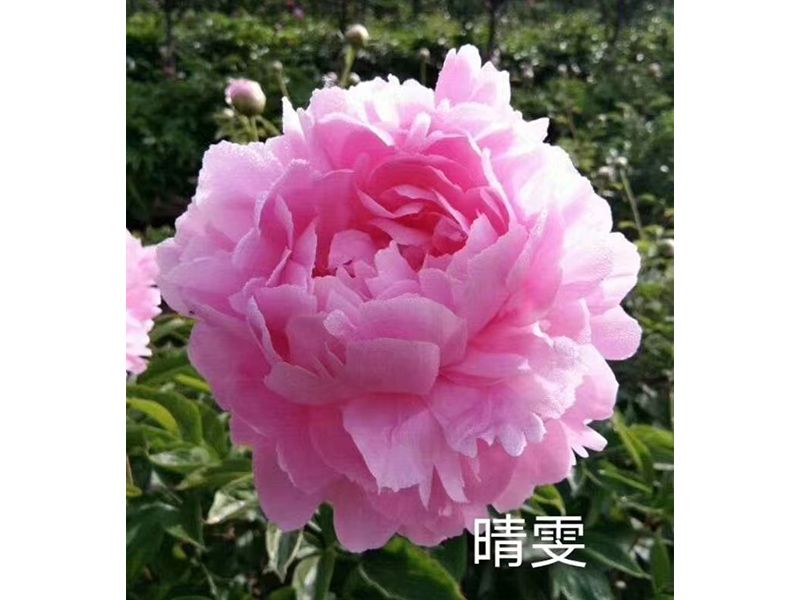 微信圖片_20230908085932.jpg