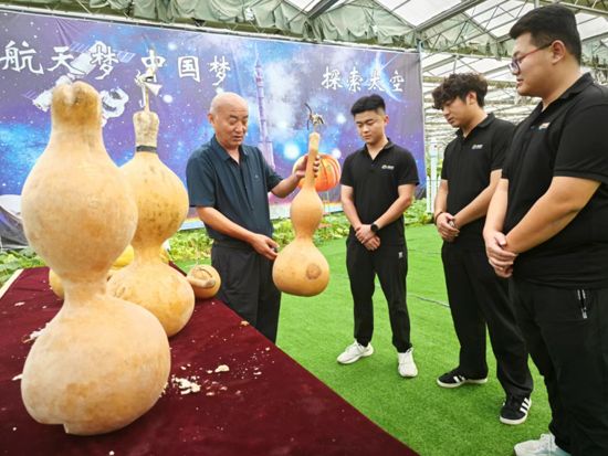 菏澤航天育種結(jié)出累累碩果！南瓜重達(dá)百斤，芝麻比姚明還高